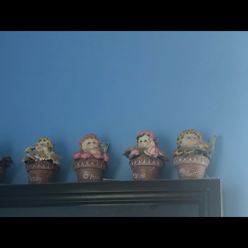 6 flower dreamsicles